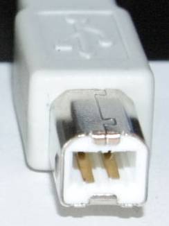 USB type B USB type B