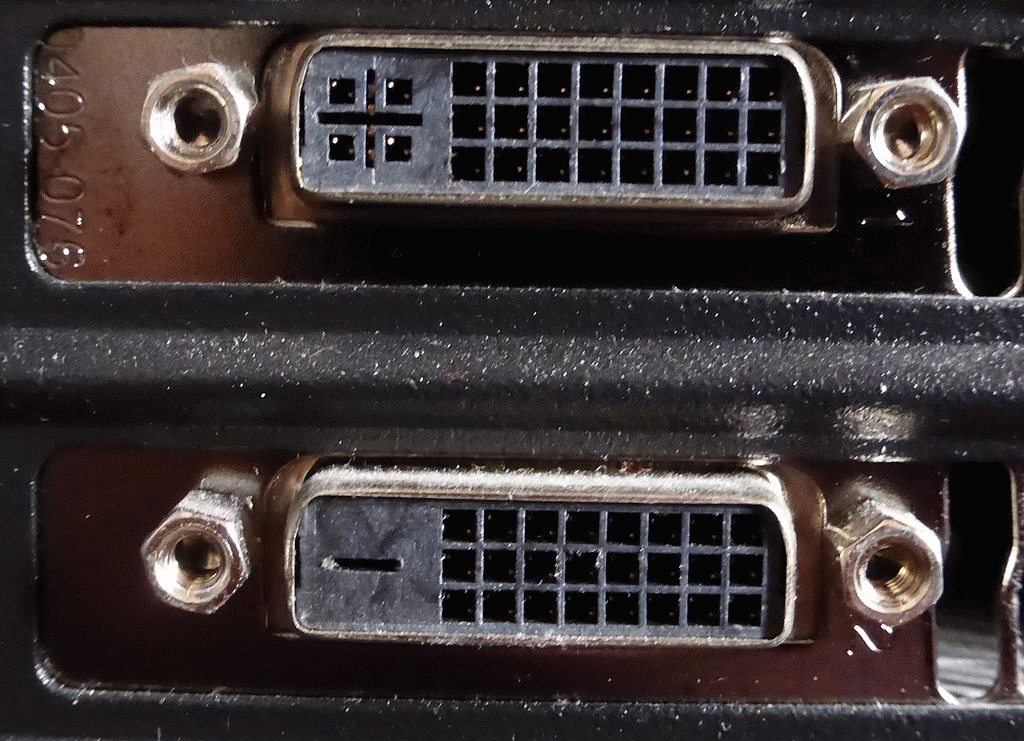 dvi-port.jpg